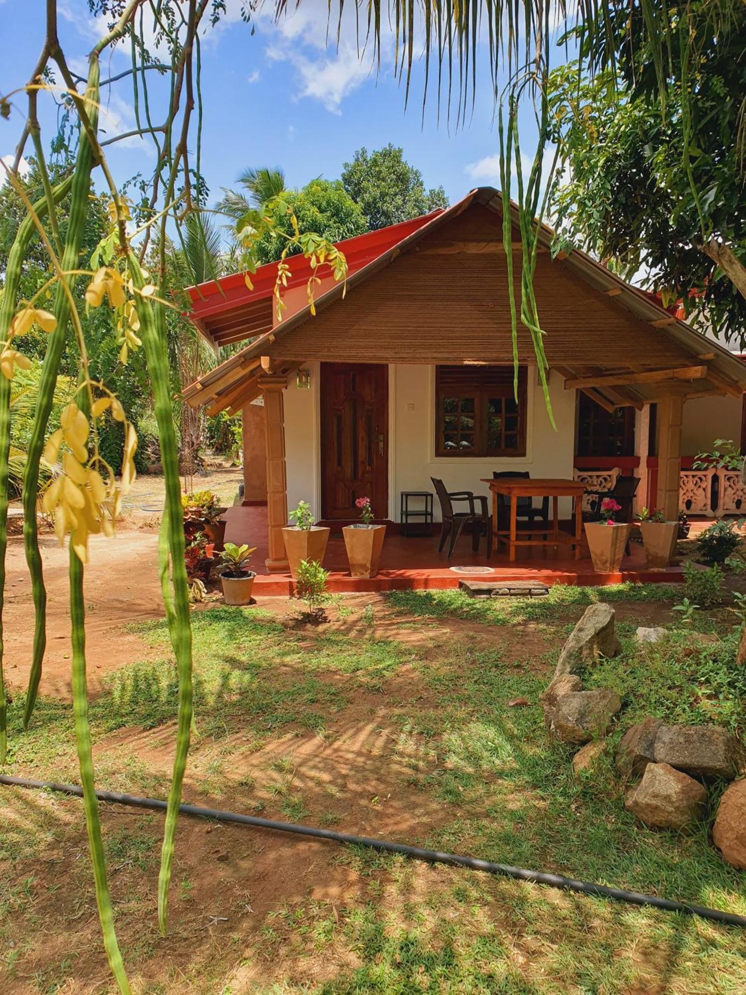 Jungle Eco Lodge & Safari Sigiriya Exterior photo