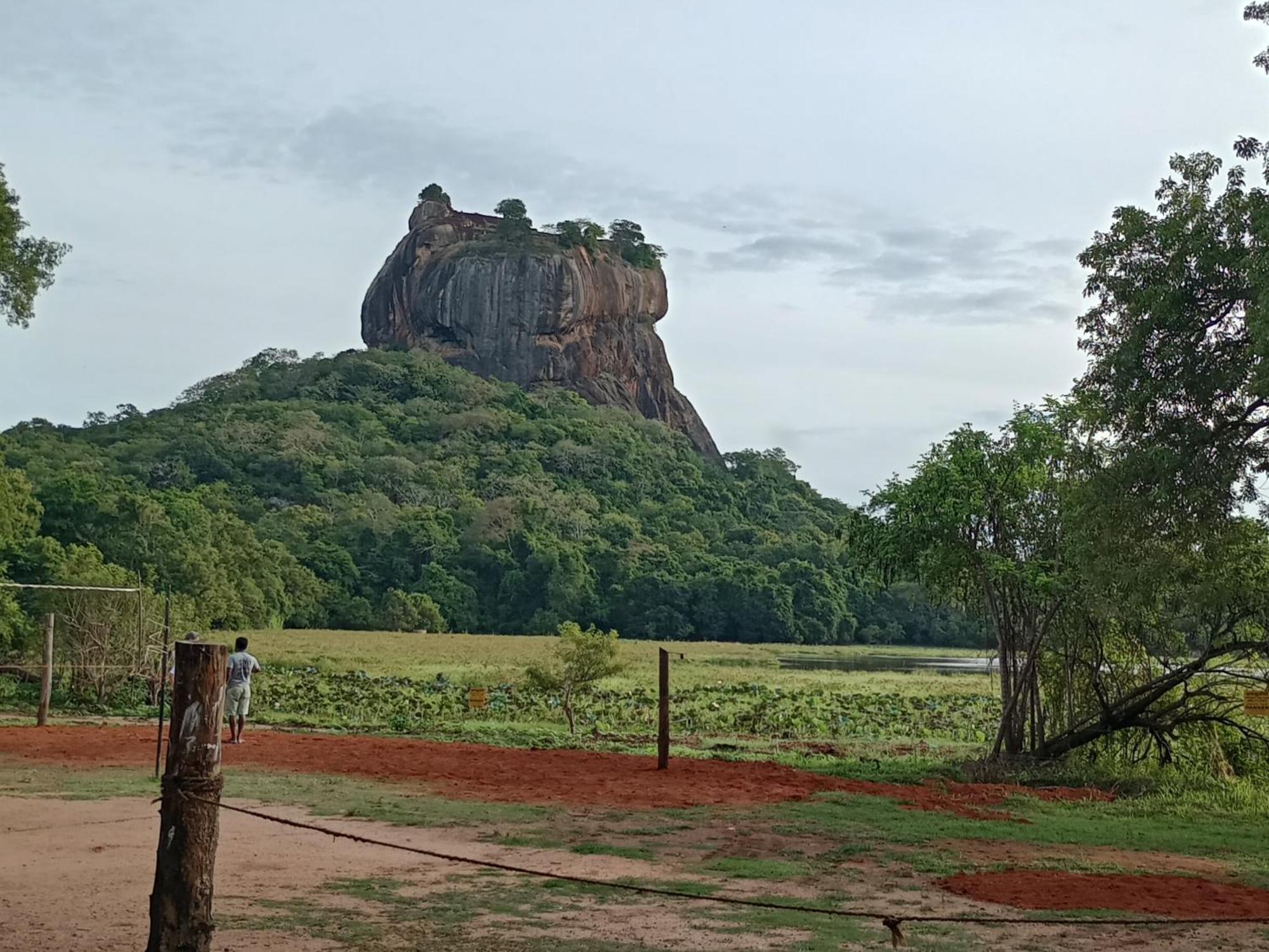 Jungle Eco Lodge & Safari Sigiriya Exterior photo