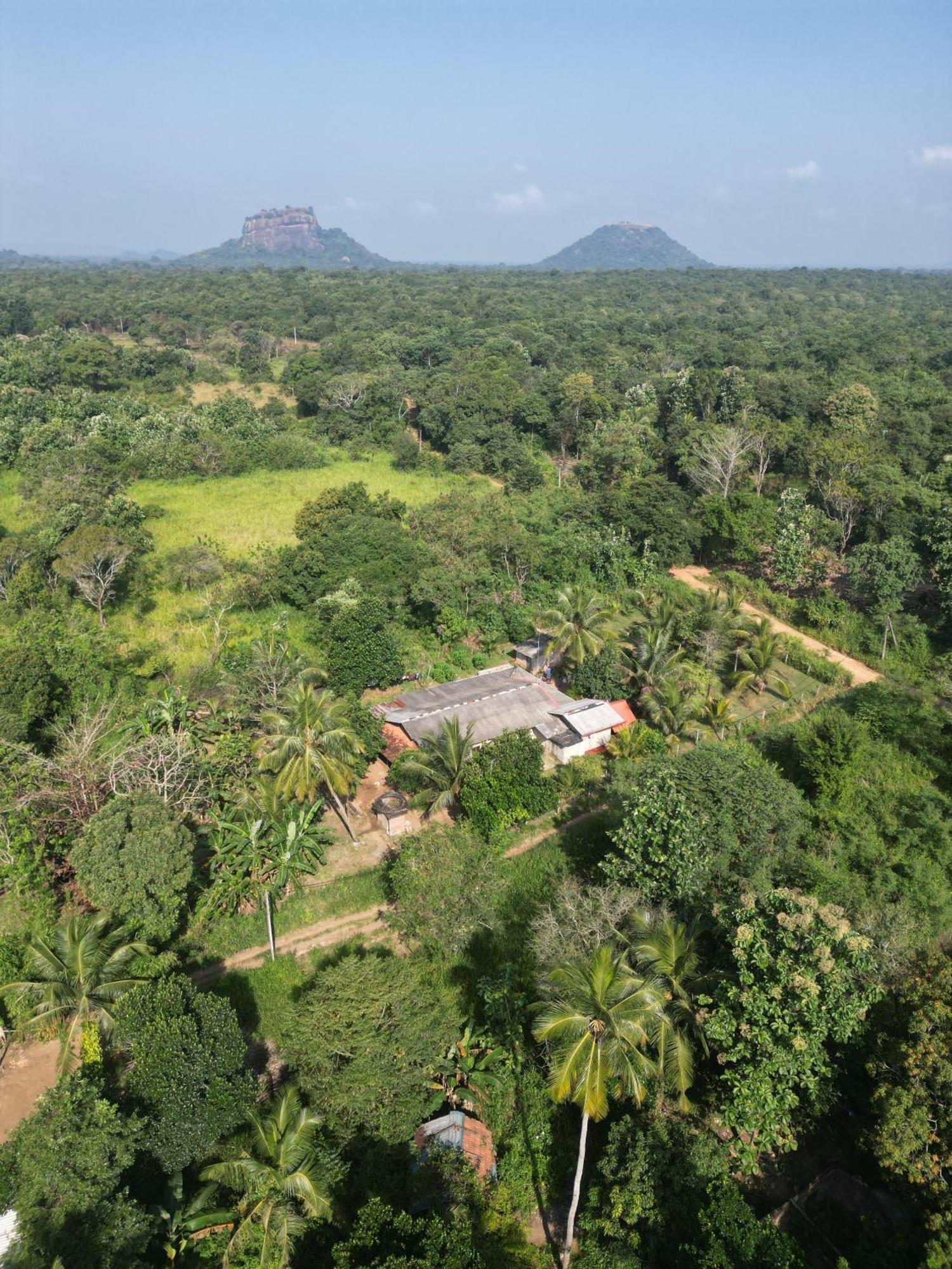 Jungle Eco Lodge & Safari Sigiriya Exterior photo